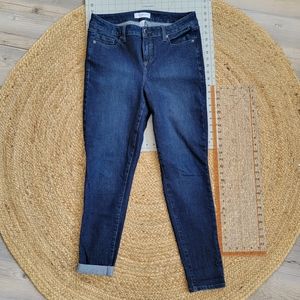 Lane bryant high rise skinnys